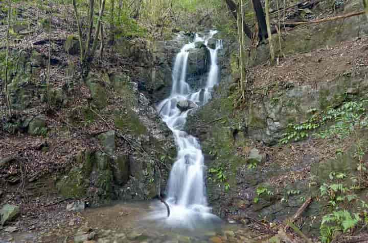 ���m��E�S�i